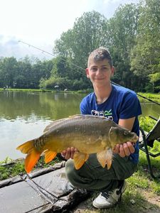 Mirror Carp