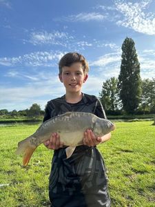 Mirror Carp