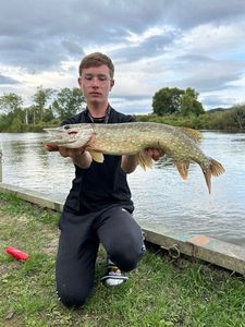 Northern Pike