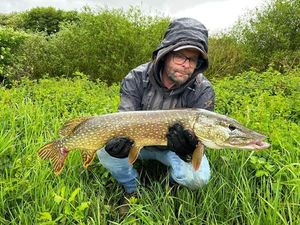 Northern Pike