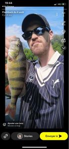 European Perch