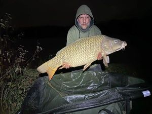 Common Carp