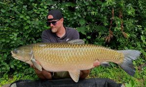 Grass Carp
