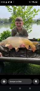Mirror Carp