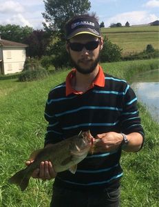 Largemouth Bass