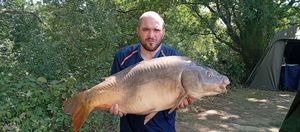 Mirror Carp