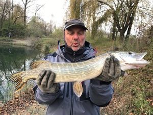 Northern Pike