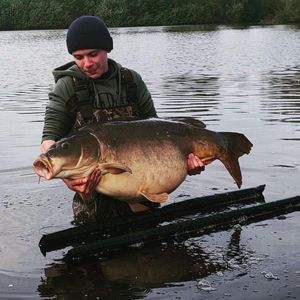 Mirror Carp