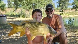 Common Carp