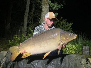 Mirror Carp