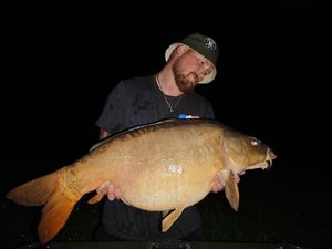 Mirror Carp
