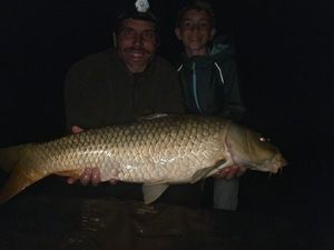 Common Carp