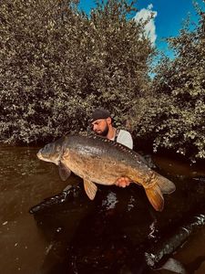 Mirror Carp