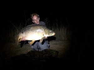 Mirror Carp