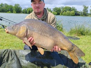 Mirror Carp