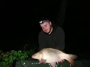 Common Carp