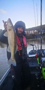Zander