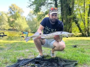 Sturgeon