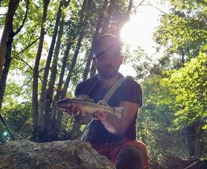 Brown Trout