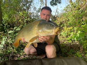 Common Carp