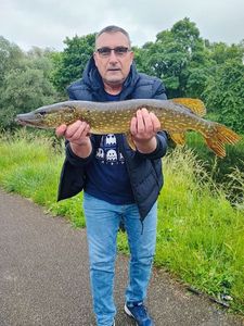Northern Pike