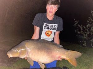 Mirror Carp
