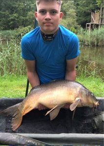 Mirror Carp