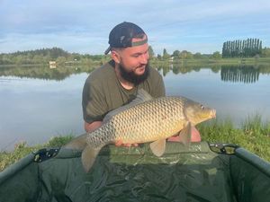 Common Carp