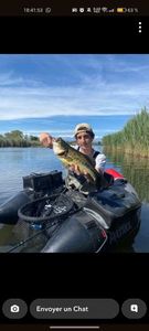 Largemouth Bass