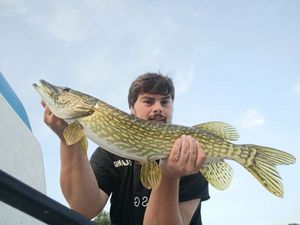 Northern Pike