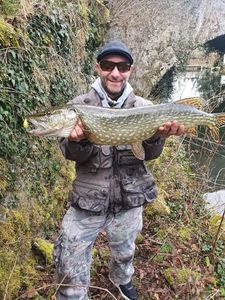 Northern Pike