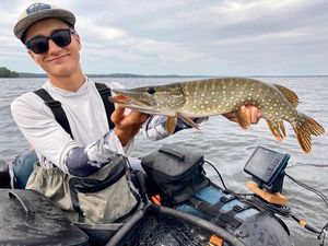 Northern Pike