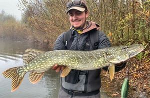 Northern Pike