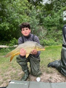 Common Carp