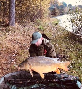 Mirror Carp