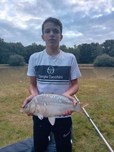 Mirror Carp