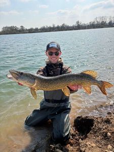 Northern Pike