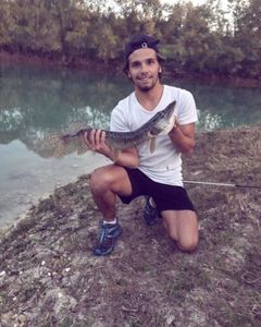 Northern Pike