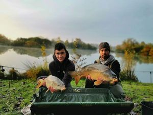 Mirror Carp
