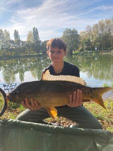 Mirror Carp