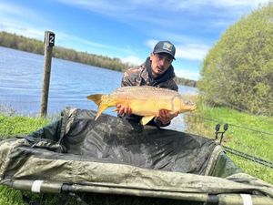 Mirror Carp