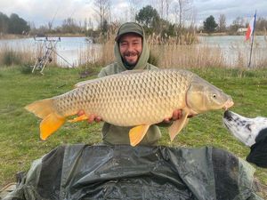 Common Carp