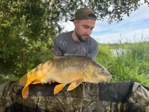 Mirror Carp