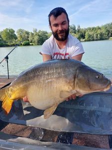 Mirror Carp