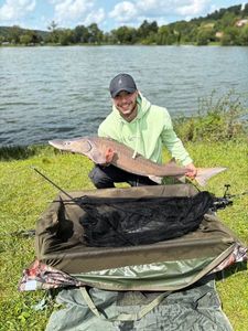 Sturgeon