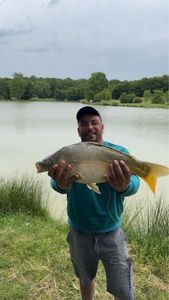 Mirror Carp