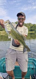Largemouth Bass