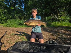 Common Carp