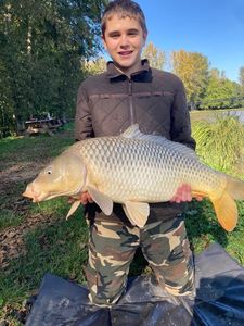 Common Carp