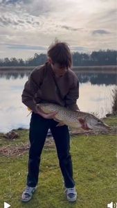 Northern Pike